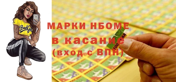 шишки Верхний Тагил