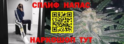 бошки Дубна