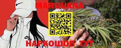 бошки Дубна